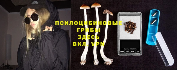 соль курить ск Алзамай